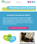 Newsletter Issue 11